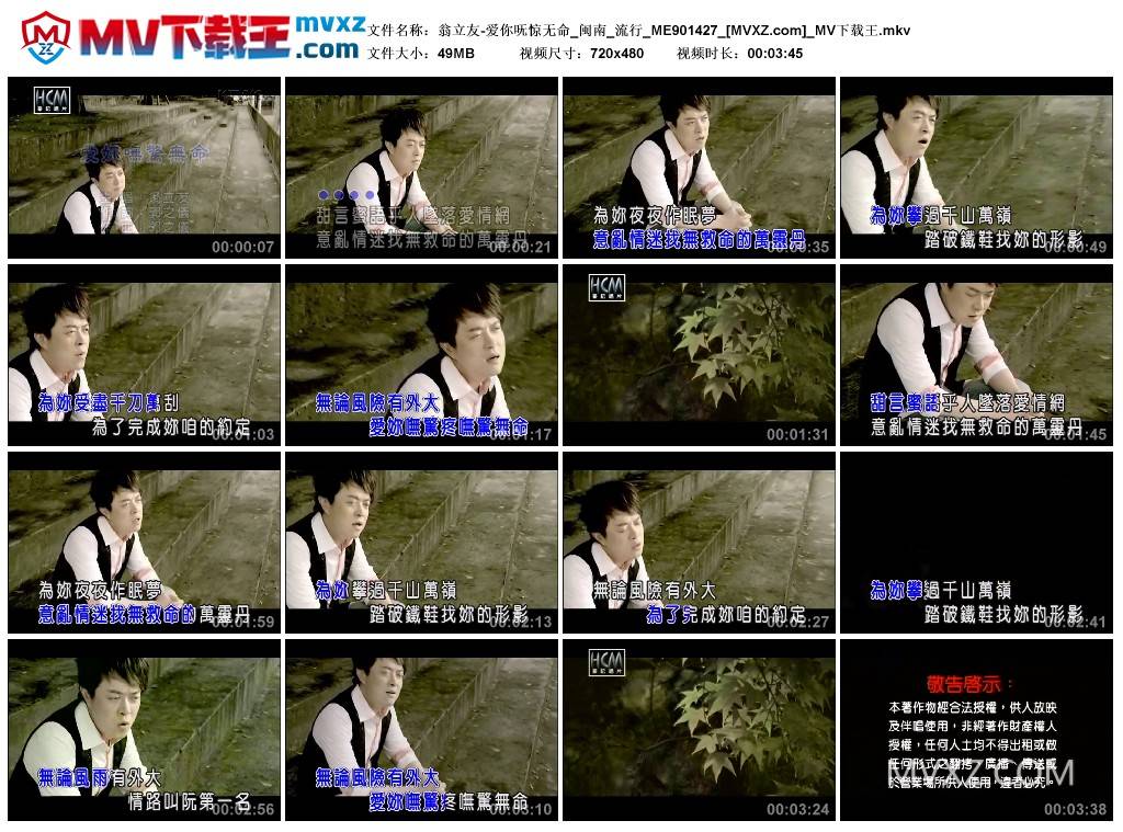 翁立友-爱你呒惊无命_闽南_流行_ME901427
